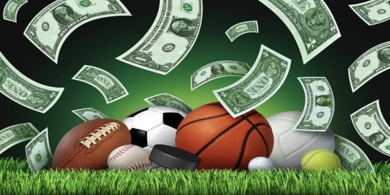 Thể thao Thể thao Manclub đem lại trại nghiệm hấp dẫn